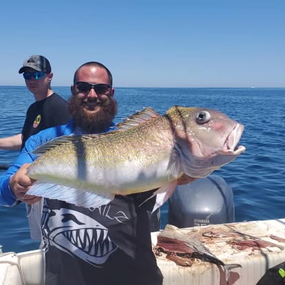 Deep sea grouper catch on offshore vessel