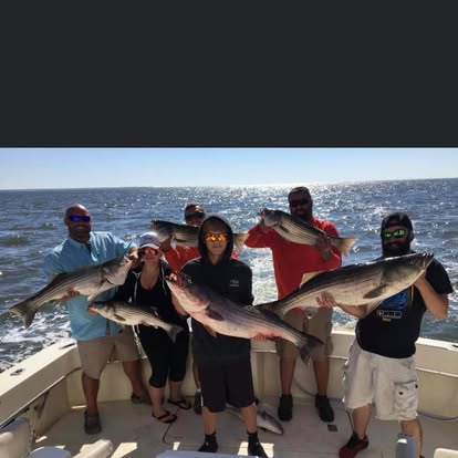 Group catch, striped bass charter