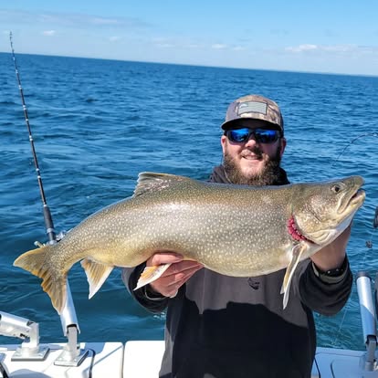 Lake trout, open water