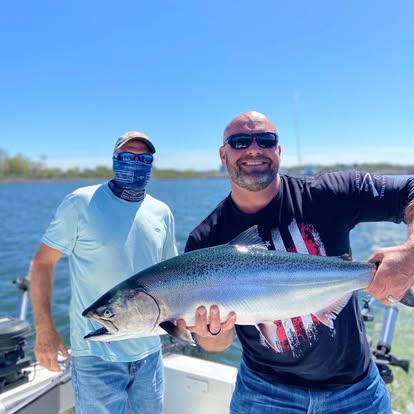 Chinook salmon on open water